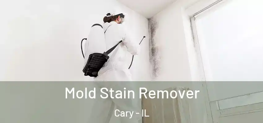  Mold Stain Remover Cary - IL