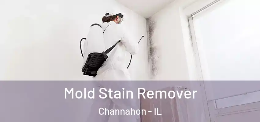  Mold Stain Remover Channahon - IL