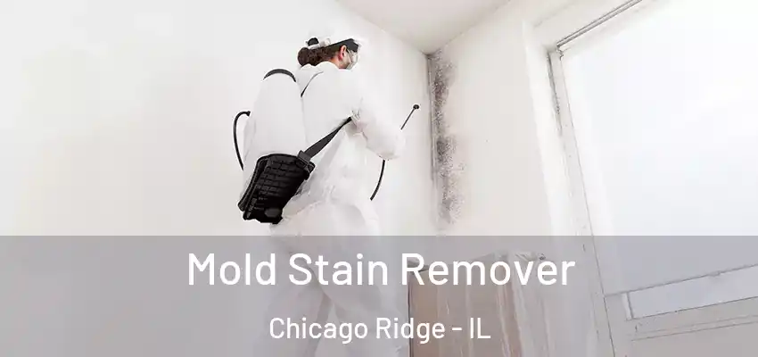  Mold Stain Remover Chicago Ridge - IL