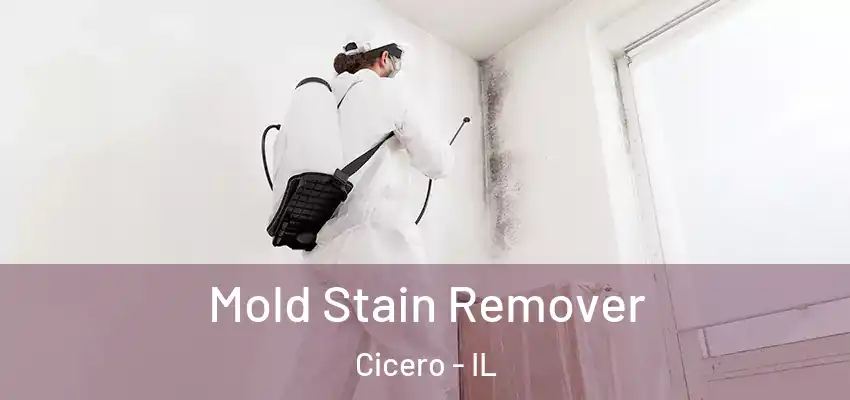  Mold Stain Remover Cicero - IL