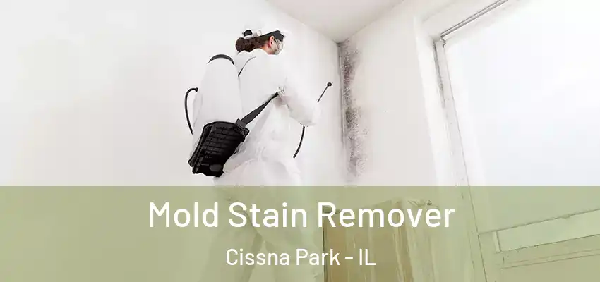 Mold Stain Remover Cissna Park - IL