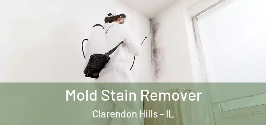  Mold Stain Remover Clarendon Hills - IL