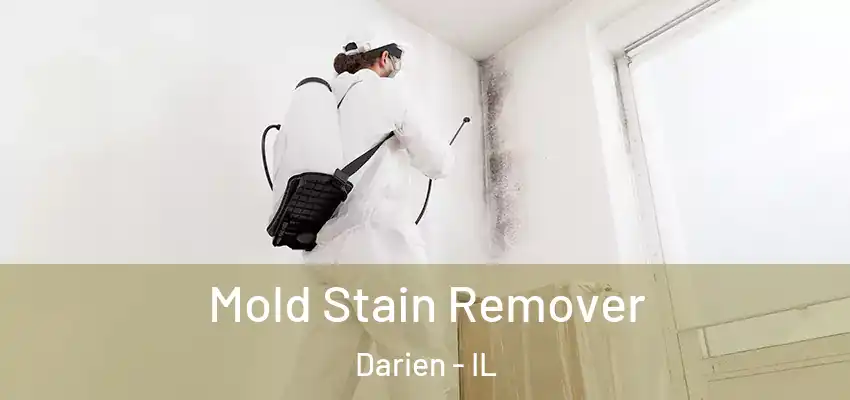  Mold Stain Remover Darien - IL