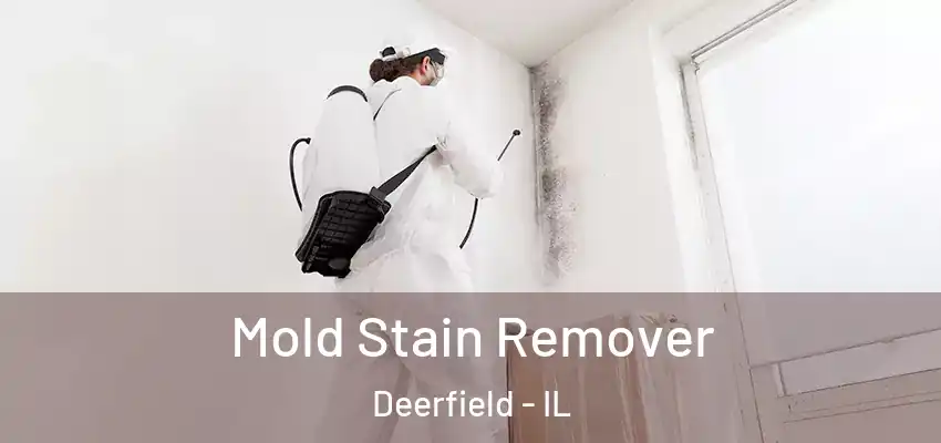 Mold Stain Remover Deerfield - IL