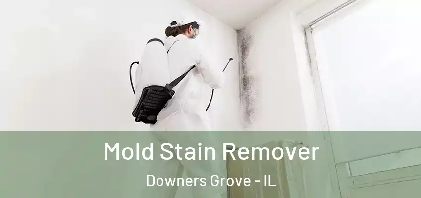 Mold Stain Remover Downers Grove - IL