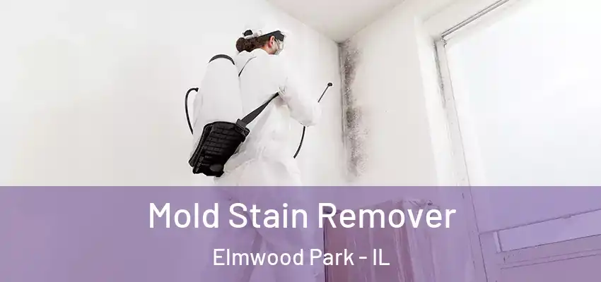 Mold Stain Remover Elmwood Park - IL