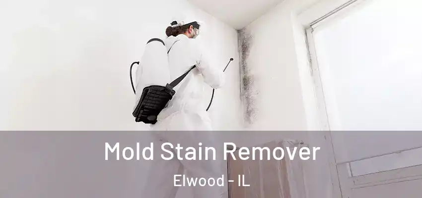 Mold Stain Remover Elwood - IL