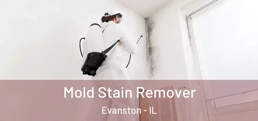  Mold Stain Remover Evanston - IL