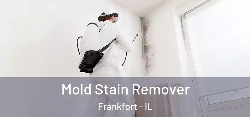  Mold Stain Remover Frankfort - IL