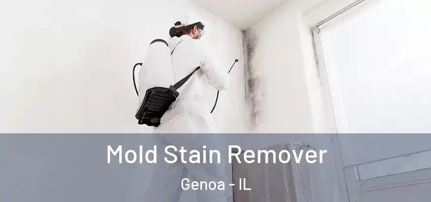 Mold Stain Remover Genoa - IL