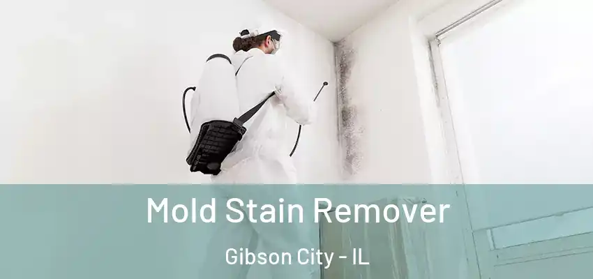 Mold Stain Remover Gibson City - IL