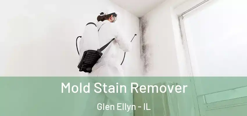  Mold Stain Remover Glen Ellyn - IL