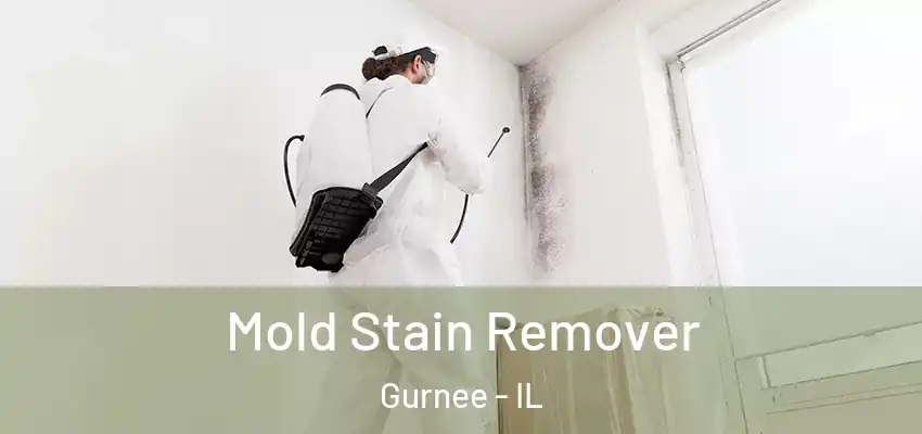  Mold Stain Remover Gurnee - IL