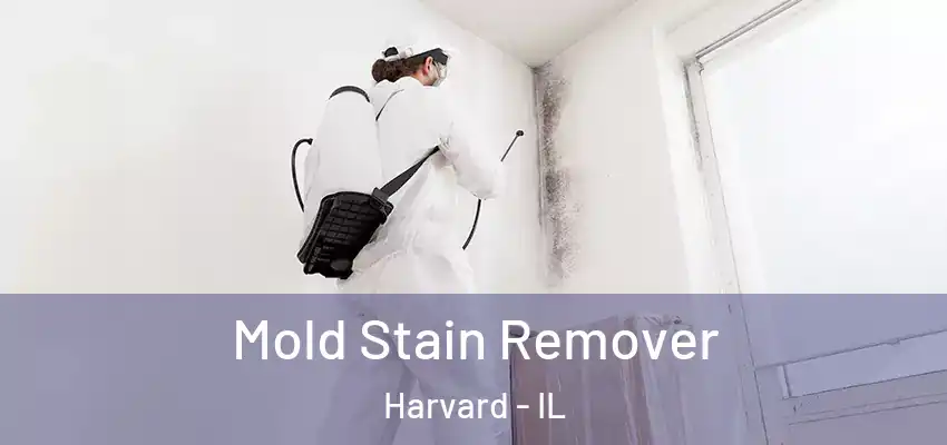  Mold Stain Remover Harvard - IL