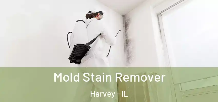 Mold Stain Remover Harvey - IL