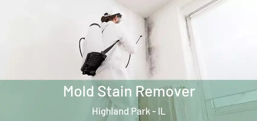 Mold Stain Remover Highland Park - IL