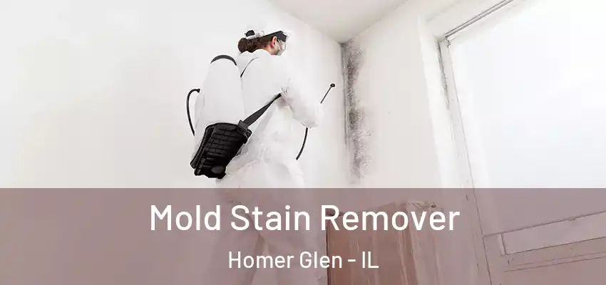 Mold Stain Remover Homer Glen - IL