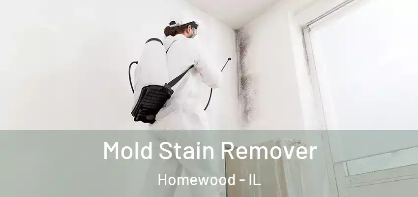 Mold Stain Remover Homewood - IL