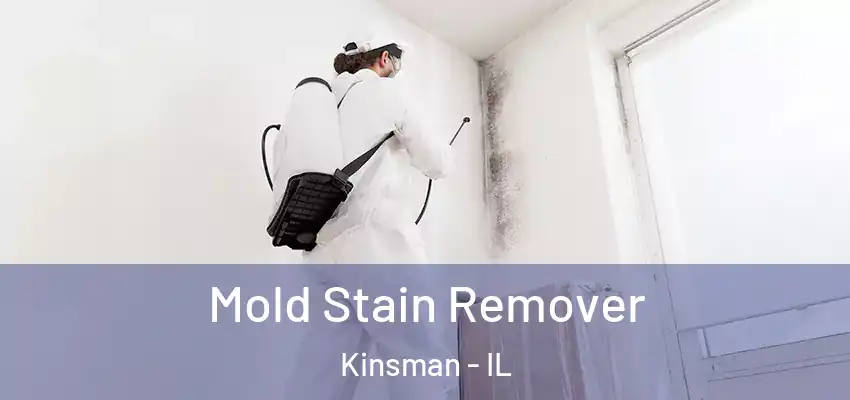 Mold Stain Remover Kinsman - IL