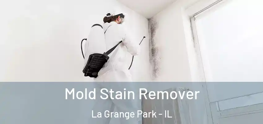  Mold Stain Remover La Grange Park - IL