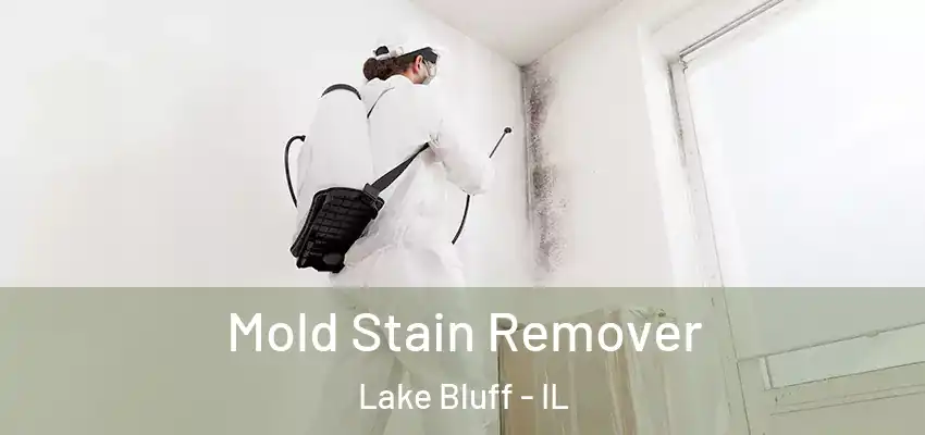  Mold Stain Remover Lake Bluff - IL