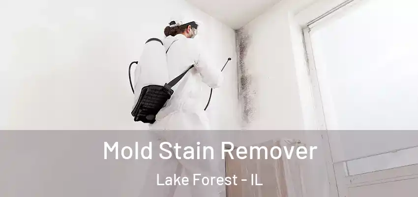 Mold Stain Remover Lake Forest - IL