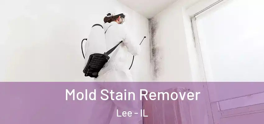 Mold Stain Remover Lee - IL