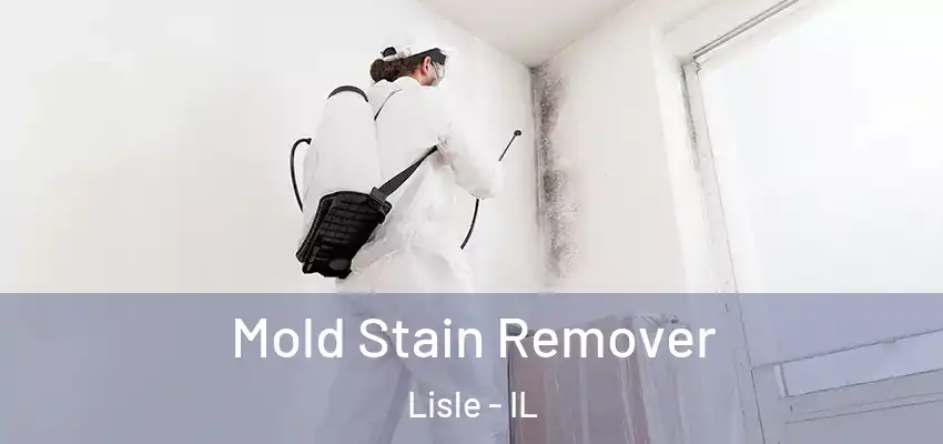 Mold Stain Remover Lisle - IL