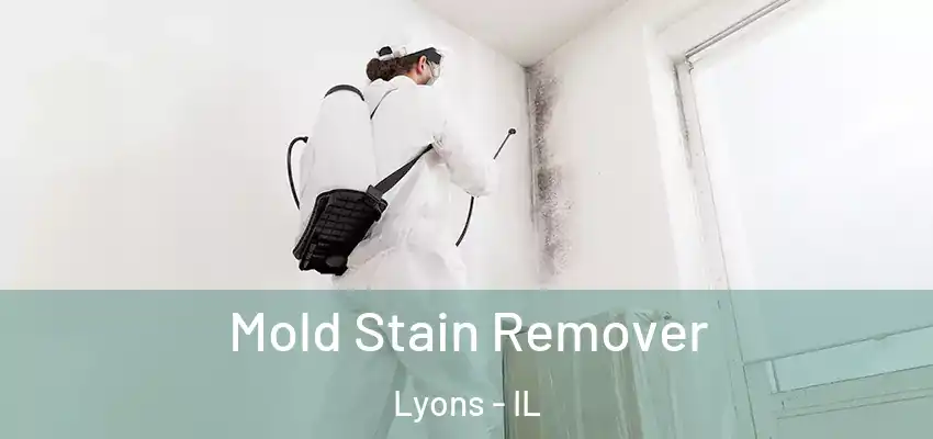  Mold Stain Remover Lyons - IL