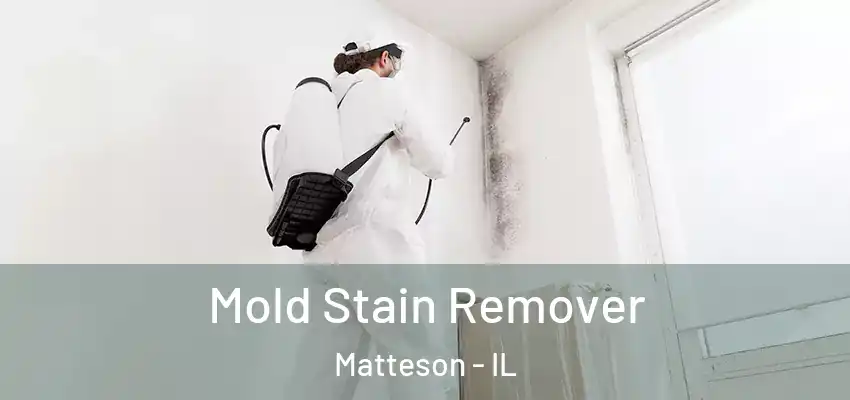 Mold Stain Remover Matteson - IL