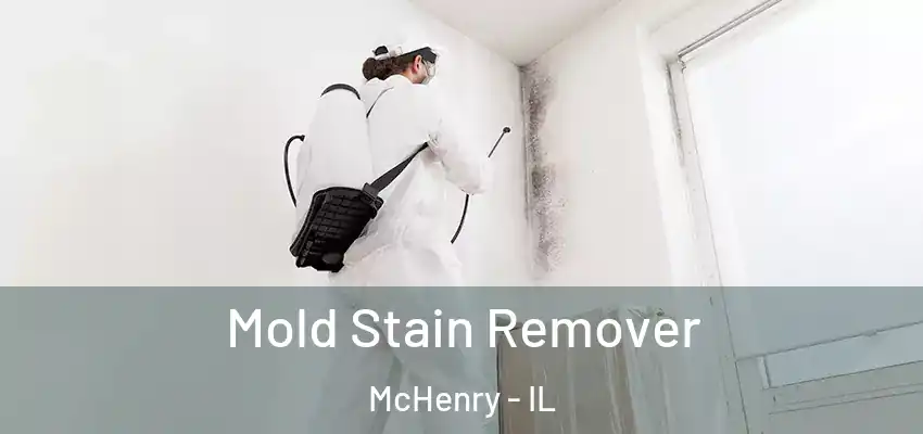 Mold Stain Remover McHenry - IL