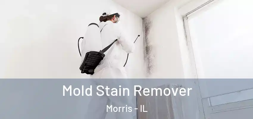 Mold Stain Remover Morris - IL