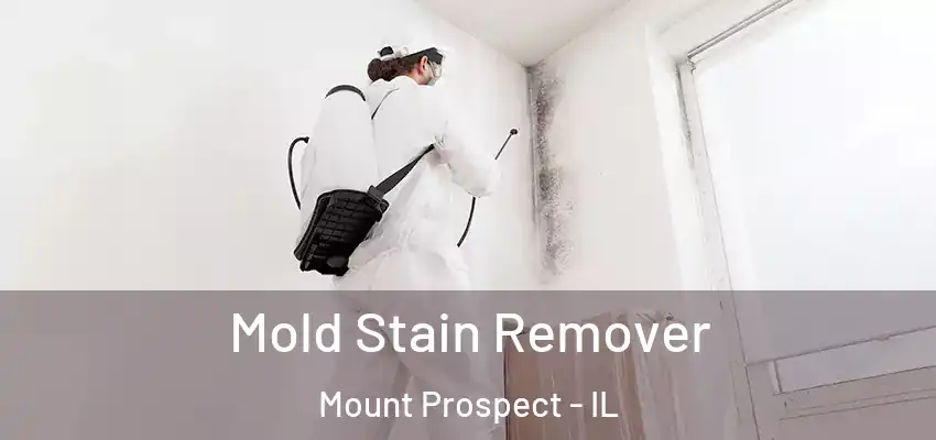  Mold Stain Remover Mount Prospect - IL