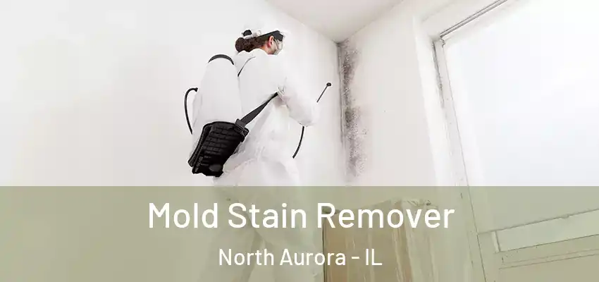  Mold Stain Remover North Aurora - IL
