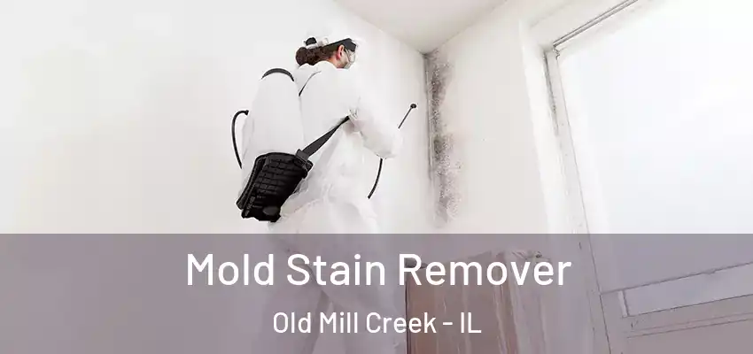 Mold Stain Remover Old Mill Creek - IL