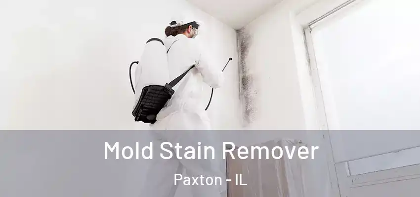 Mold Stain Remover Paxton - IL