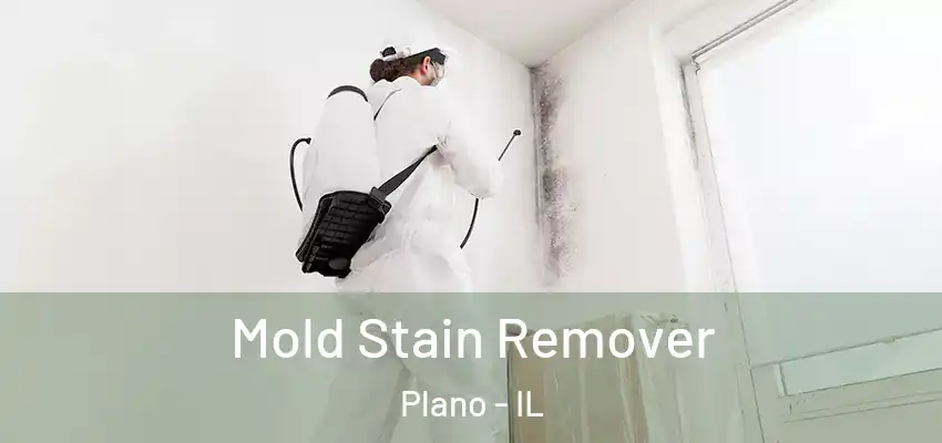 Mold Stain Remover Plano - IL