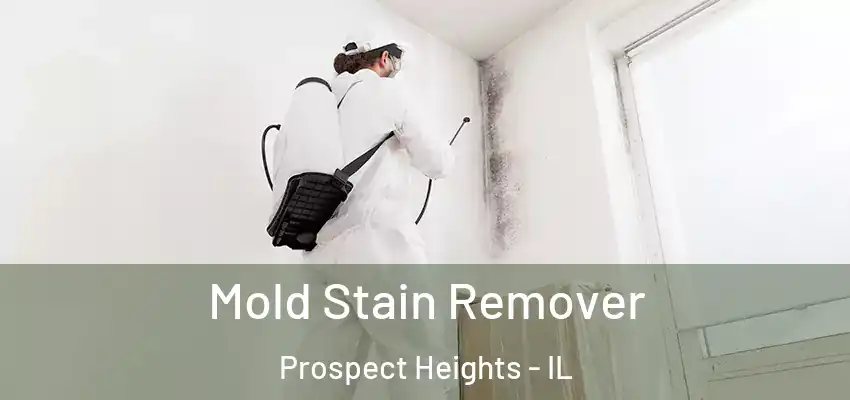  Mold Stain Remover Prospect Heights - IL