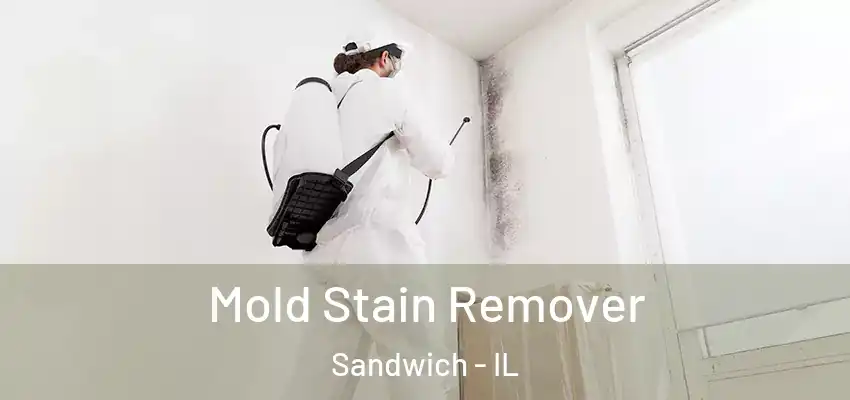 Mold Stain Remover Sandwich - IL