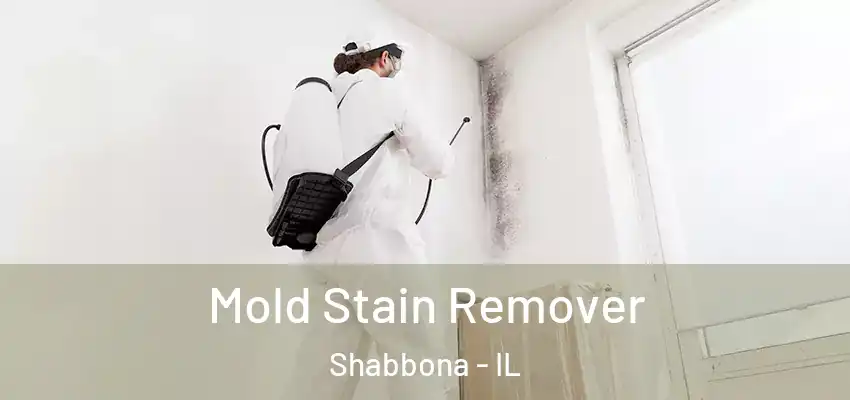 Mold Stain Remover Shabbona - IL