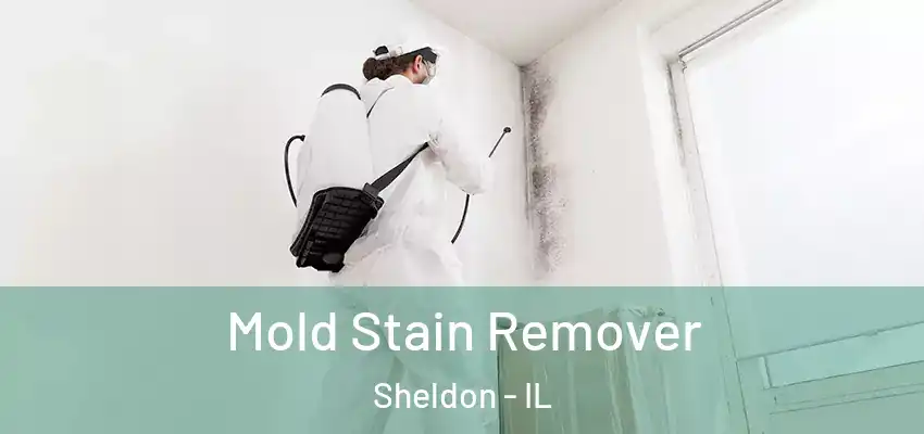 Mold Stain Remover Sheldon - IL