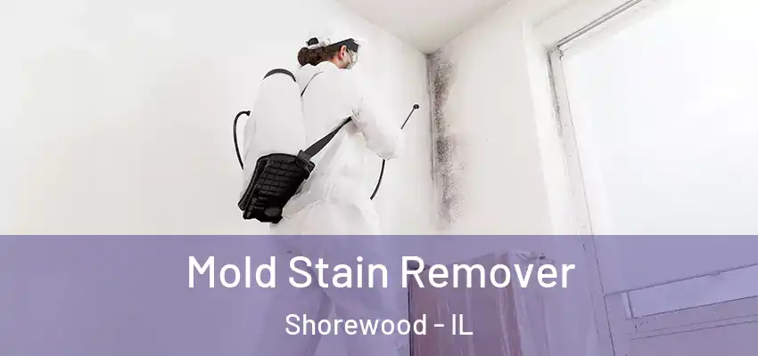  Mold Stain Remover Shorewood - IL
