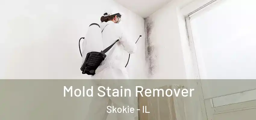 Mold Stain Remover Skokie - IL