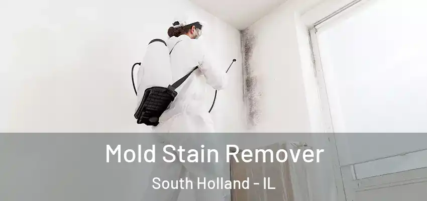 Mold Stain Remover South Holland - IL