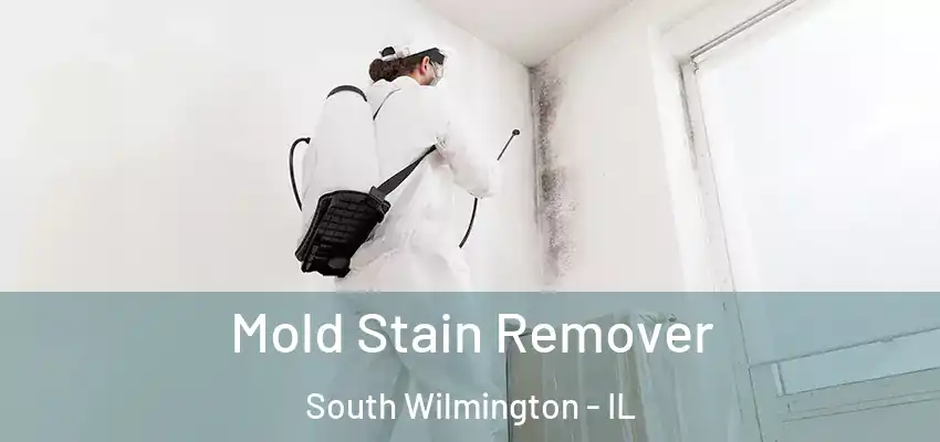 Mold Stain Remover South Wilmington - IL
