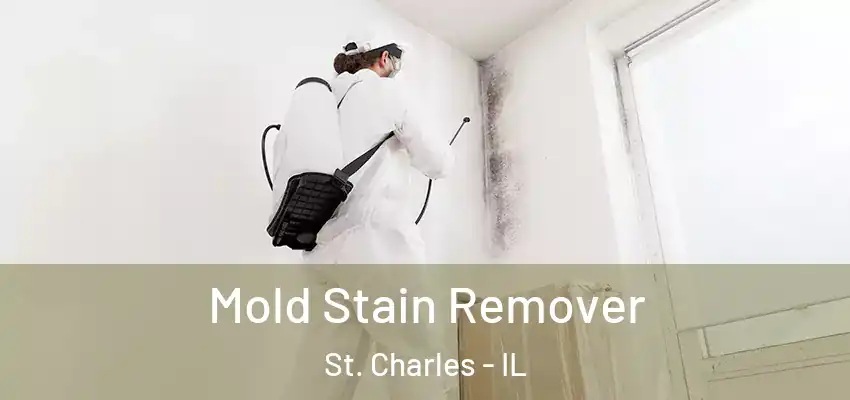 Mold Stain Remover St. Charles - IL