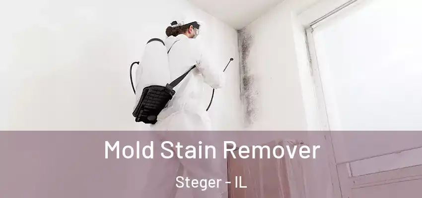Mold Stain Remover Steger - IL