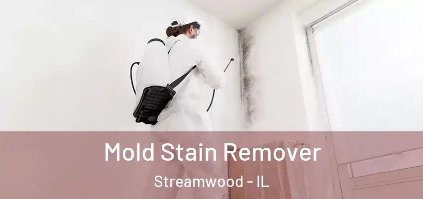  Mold Stain Remover Streamwood - IL