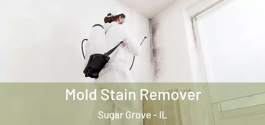 Mold Stain Remover Sugar Grove - IL