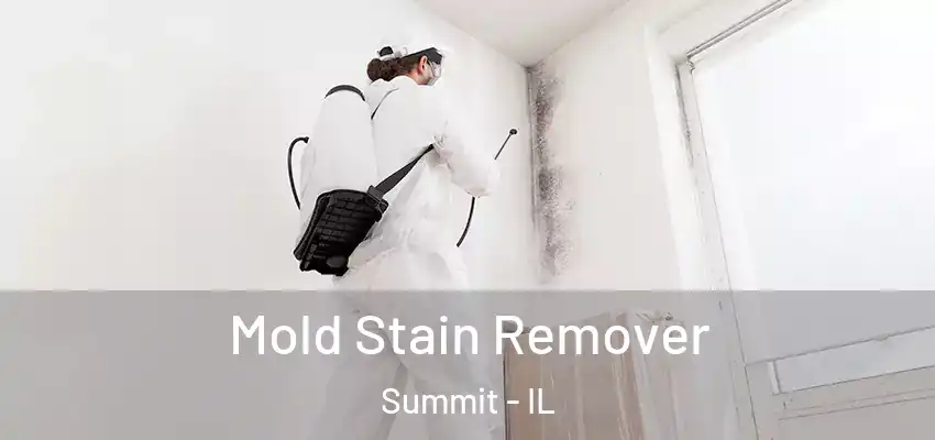 Mold Stain Remover Summit - IL
